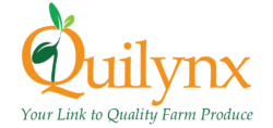 Quilynx East Africa Limited